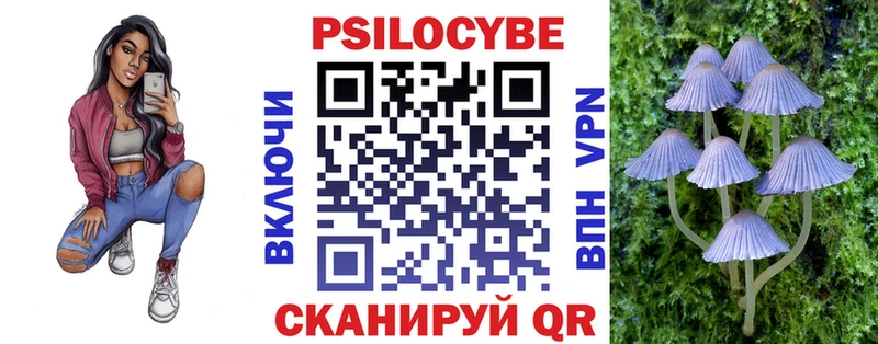 kraken зеркало  Сурск  Галлюциногенные грибы GOLDEN TEACHER  купить  