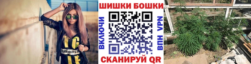 Бошки марихуана OG Kush  omg ссылки  Сурск 
